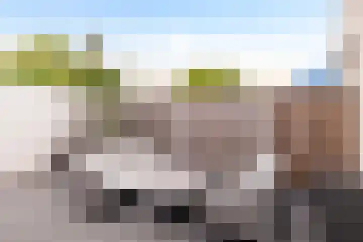 Lange Maat 115 Westervoort thumbnail 19