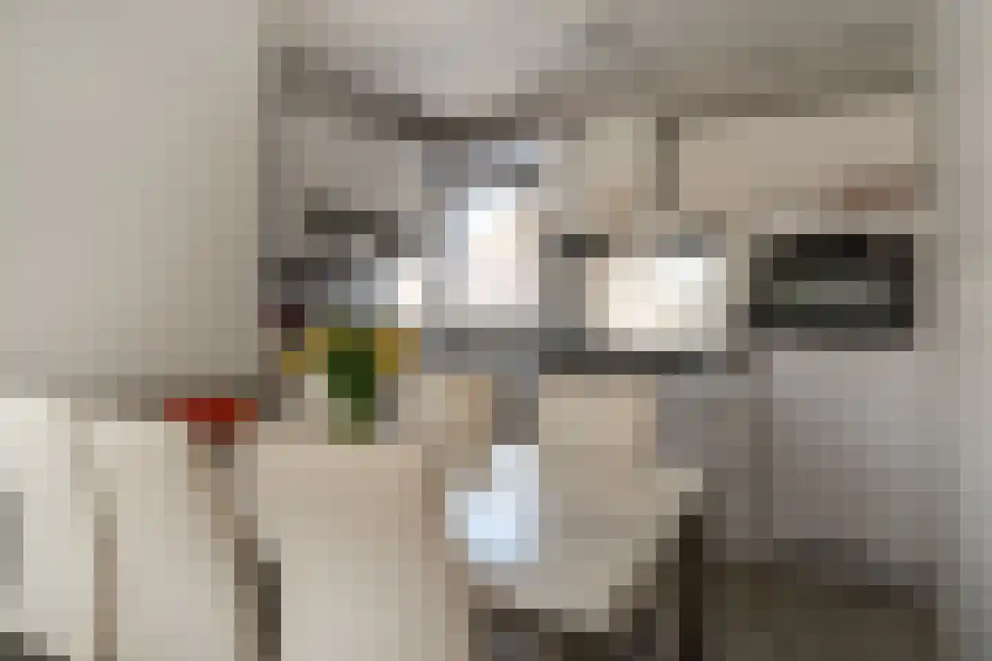 Lange Maat 121 Westervoort thumbnail 11