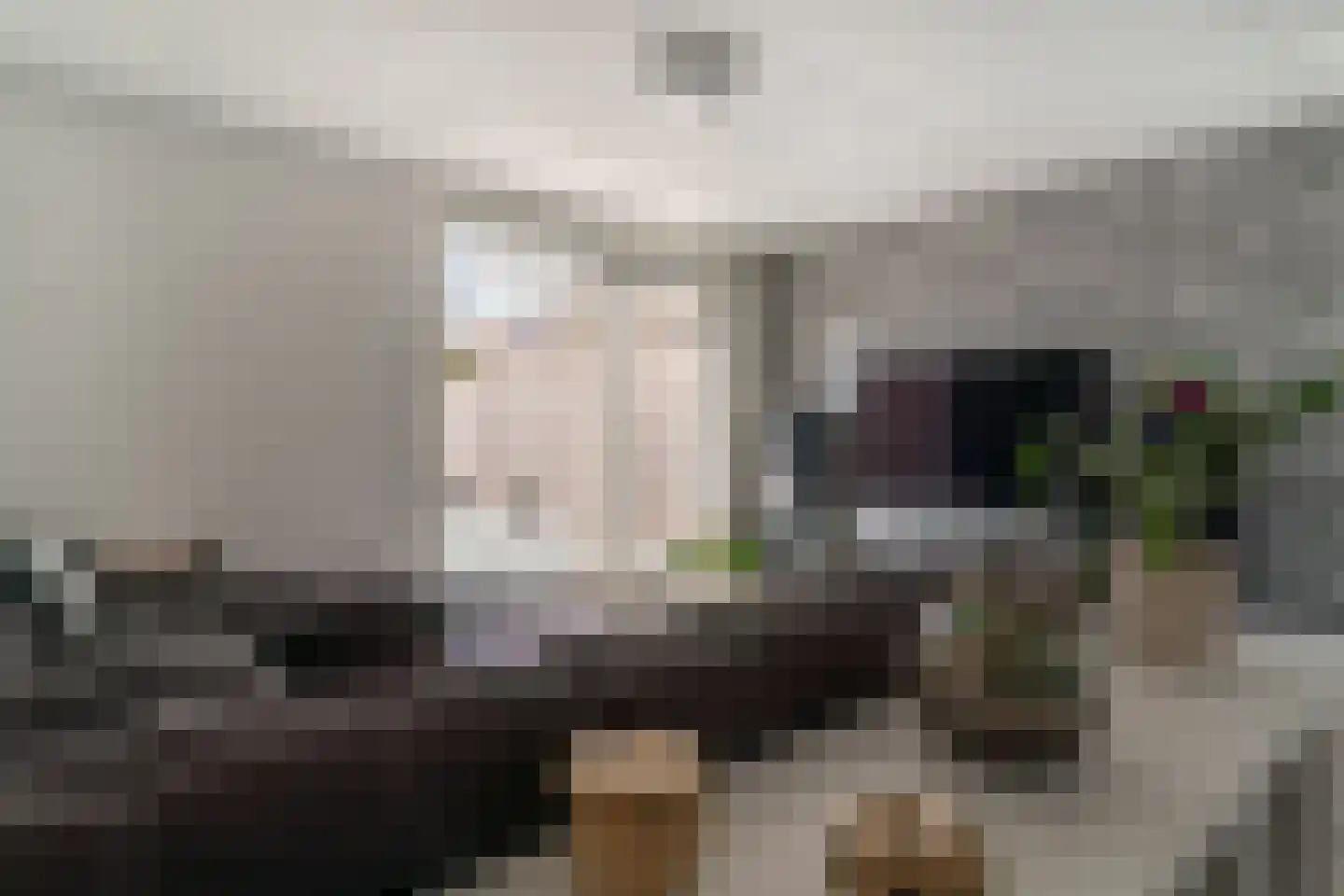 Lange Maat 121 Westervoort thumbnail 15