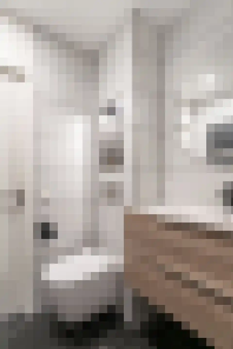 Lange Maat 121 Westervoort thumbnail 36