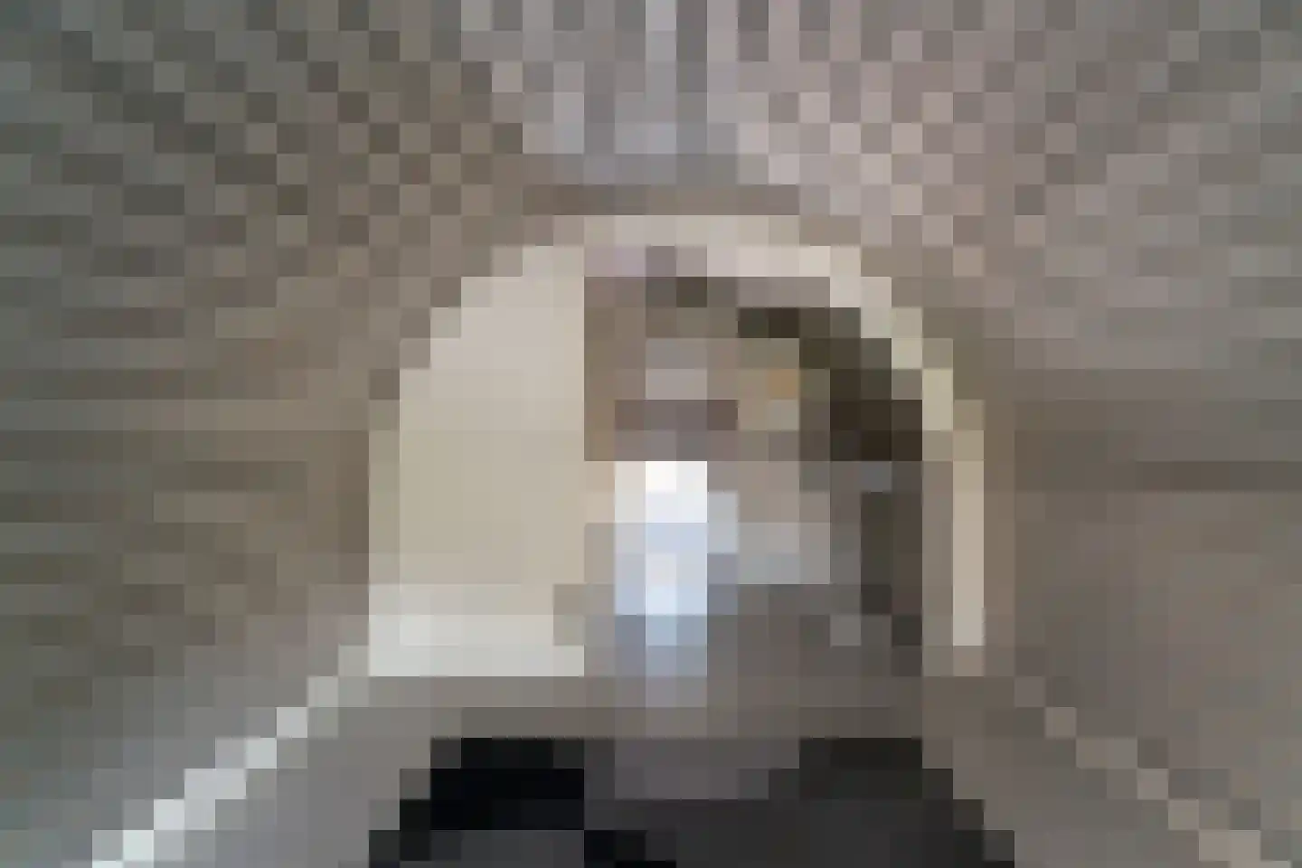 Lange Maat 121 Westervoort thumbnail 38