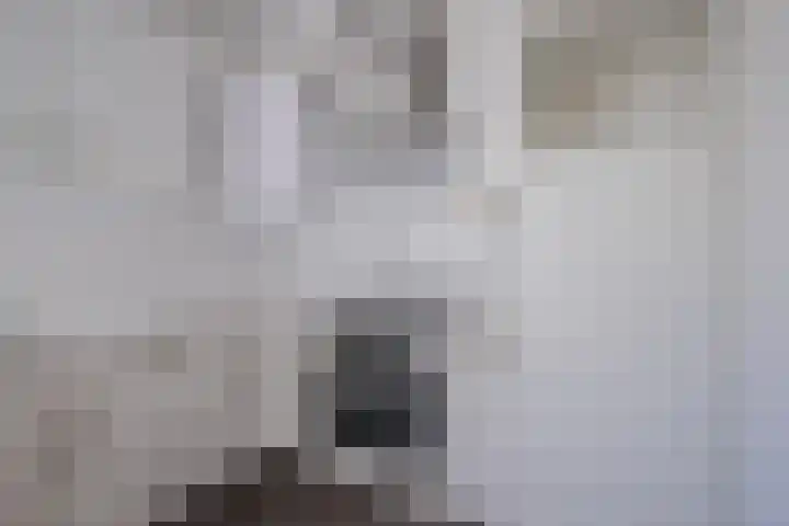 Lange Maat 123 Westervoort thumbnail 14