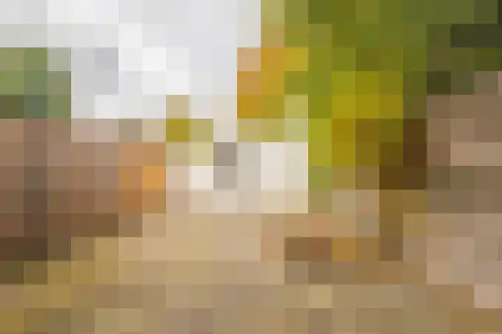Lange Maat 123 Westervoort thumbnail 16