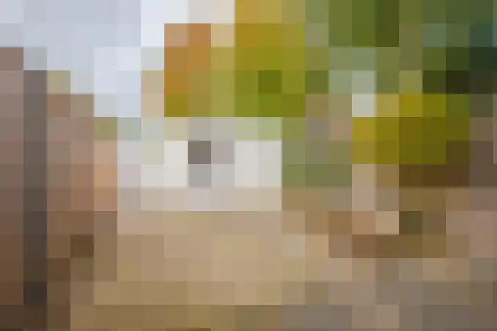 Lange Maat 123 Westervoort thumbnail 17