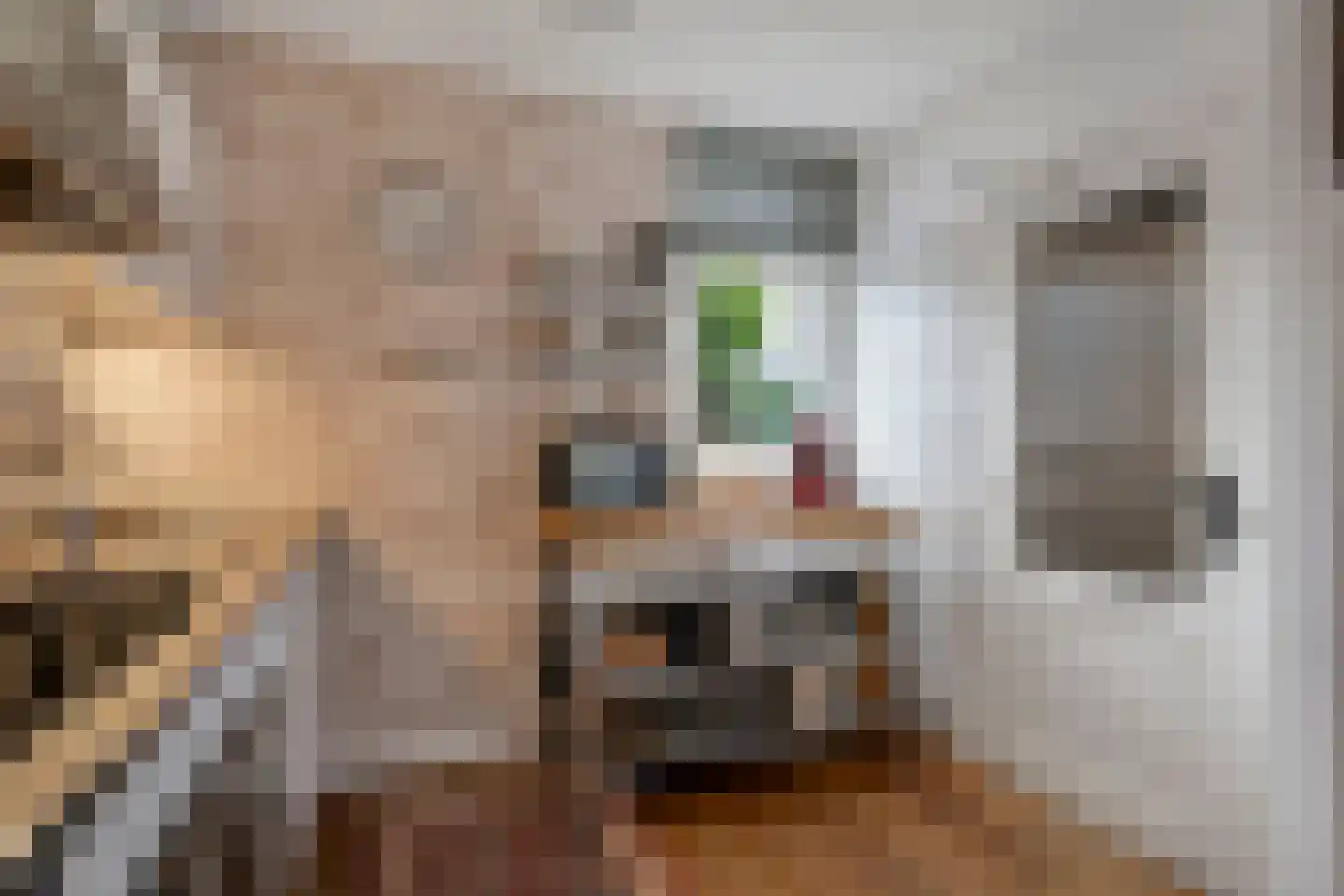 Lange Maat 135 Westervoort thumbnail 14
