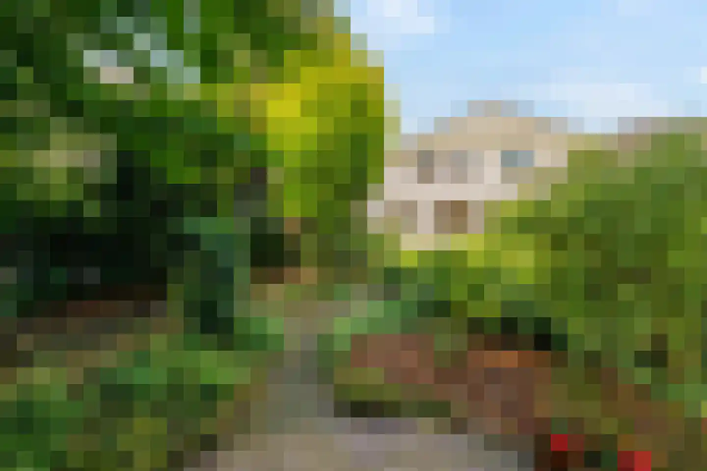 Lange Maat 27 Westervoort thumbnail 28