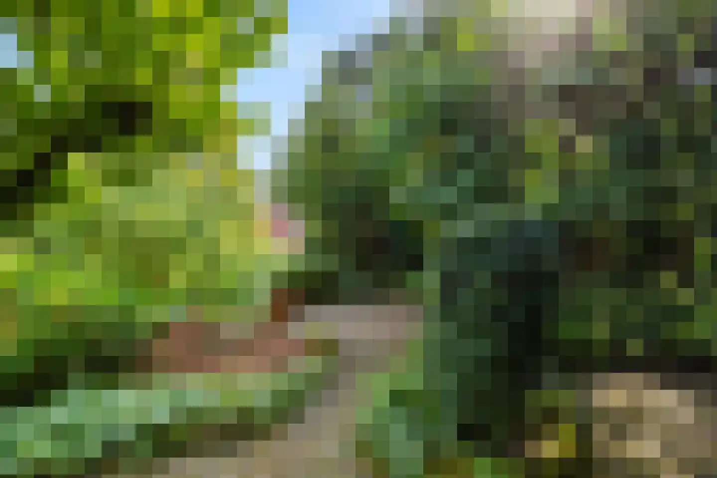 Lange Maat 27 Westervoort thumbnail 29