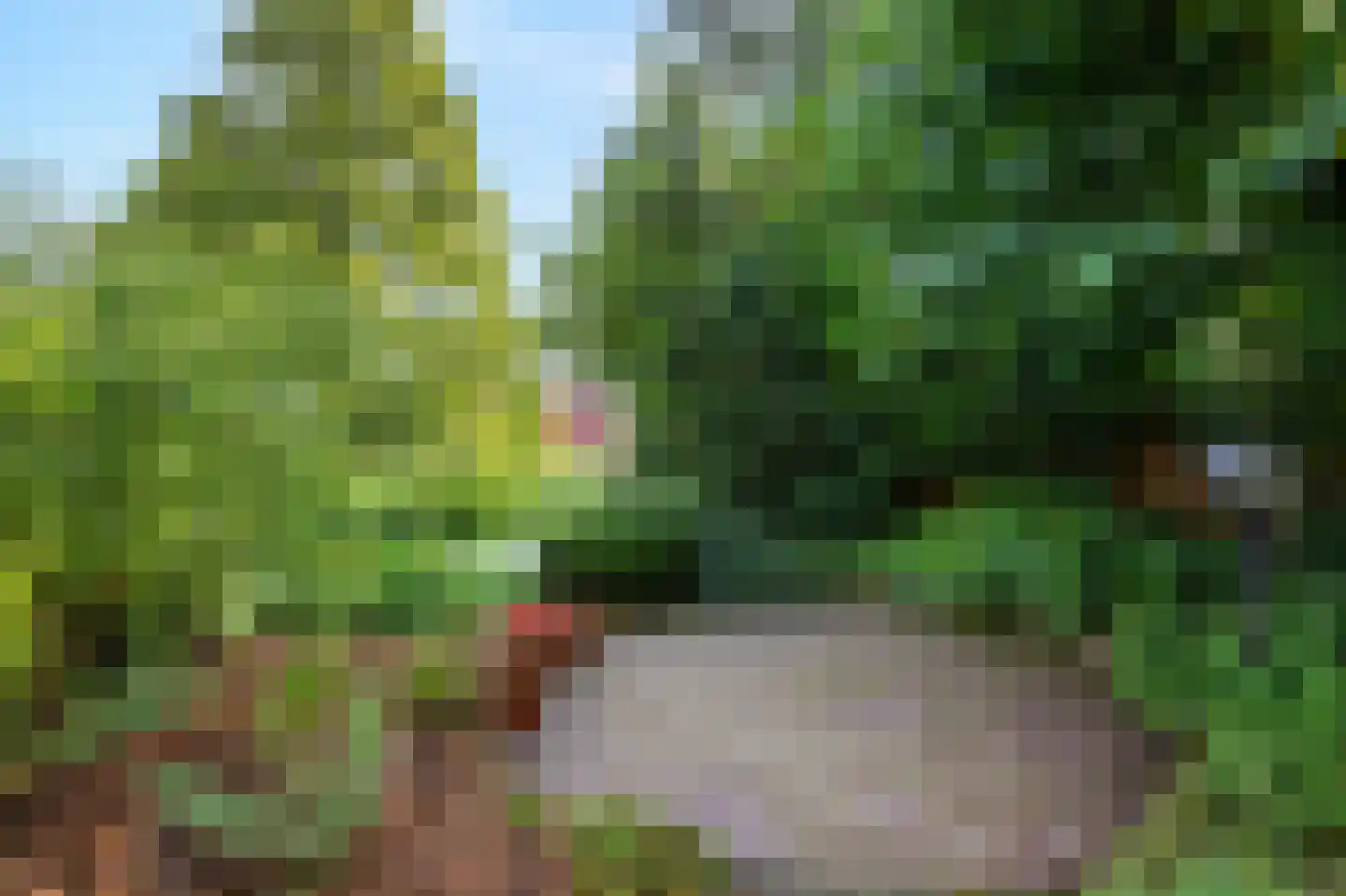 Lange Maat 27 Westervoort thumbnail 30