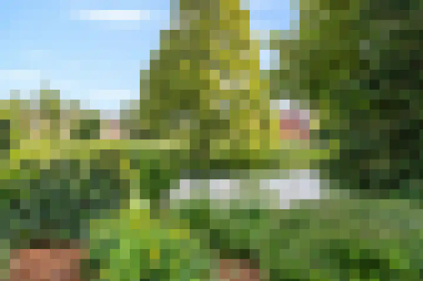 Lange Maat 27 Westervoort thumbnail 31