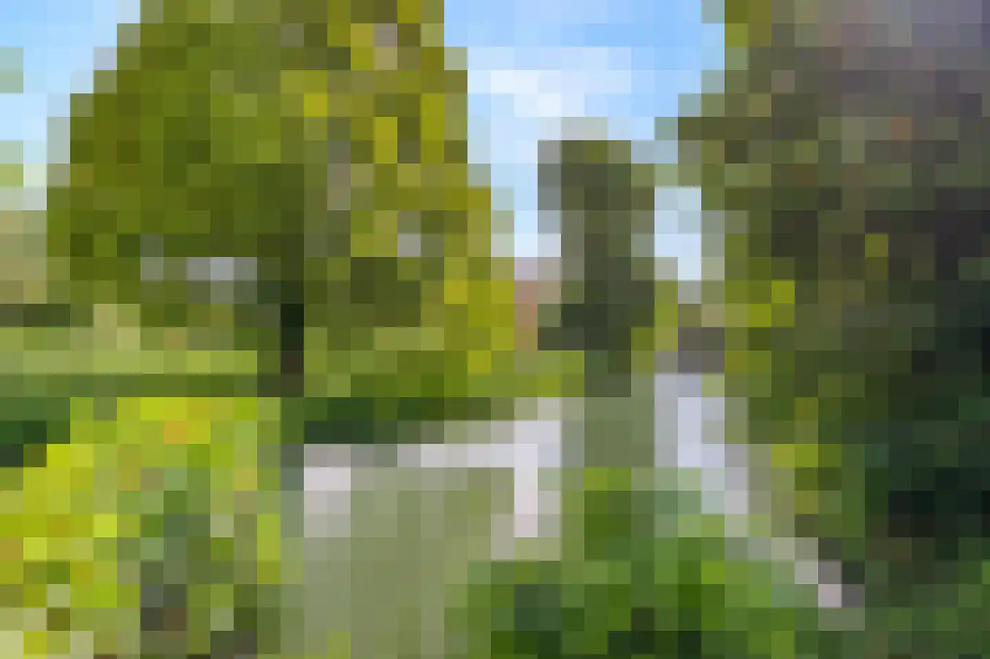 Lange Maat 27 Westervoort thumbnail 32