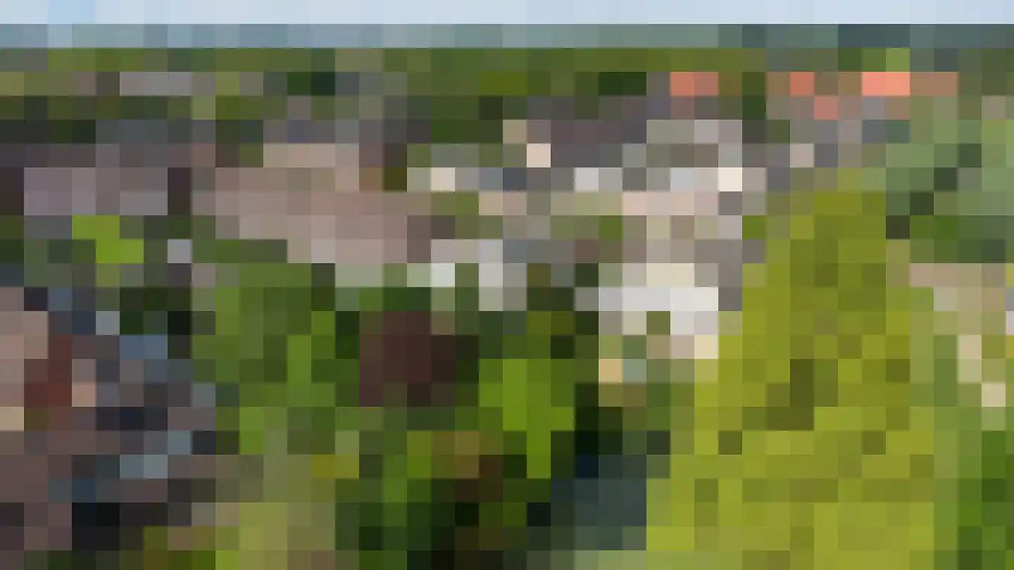 Lange Maat 27 Westervoort thumbnail 33