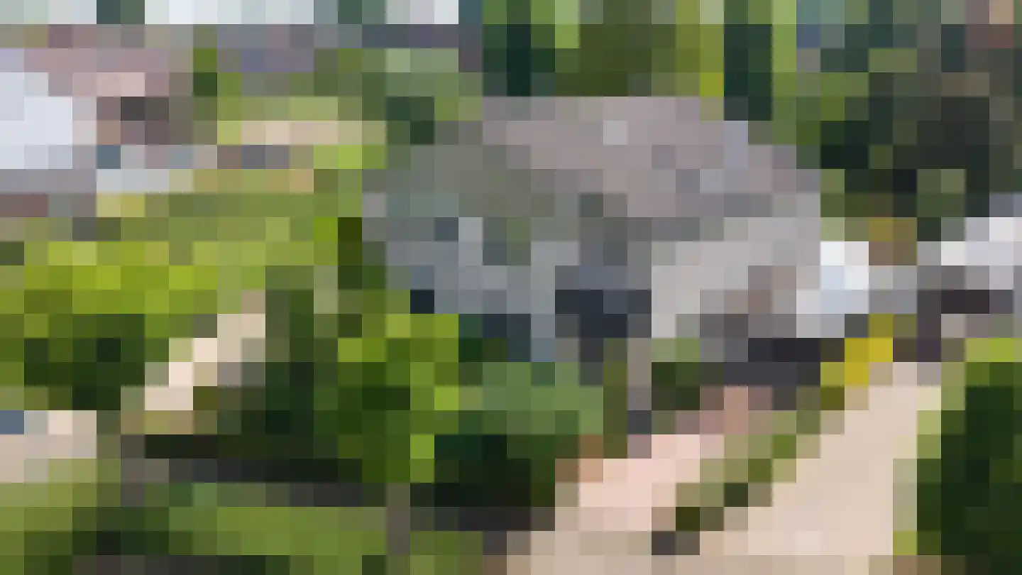 Lange Maat 27 Westervoort thumbnail 6