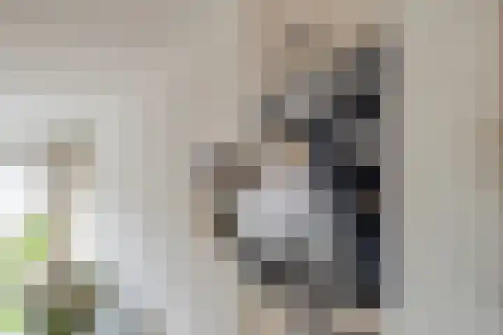 Lange Maat 40 Westervoort thumbnail 20