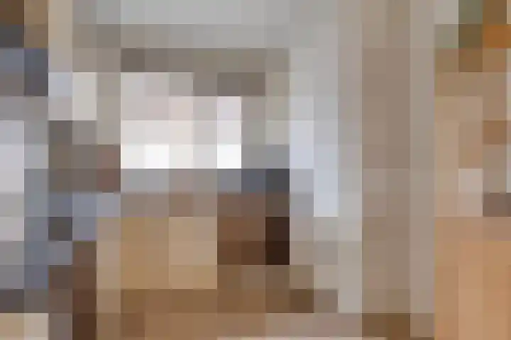 Lange Maat 40 Westervoort thumbnail 21