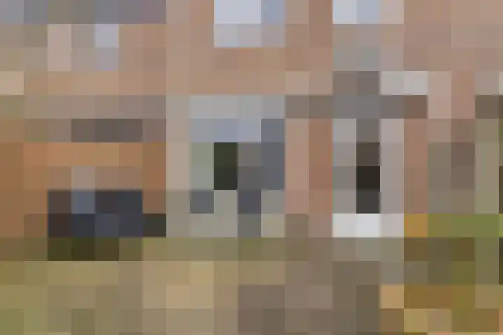 Lange Maat 40 Westervoort thumbnail 24