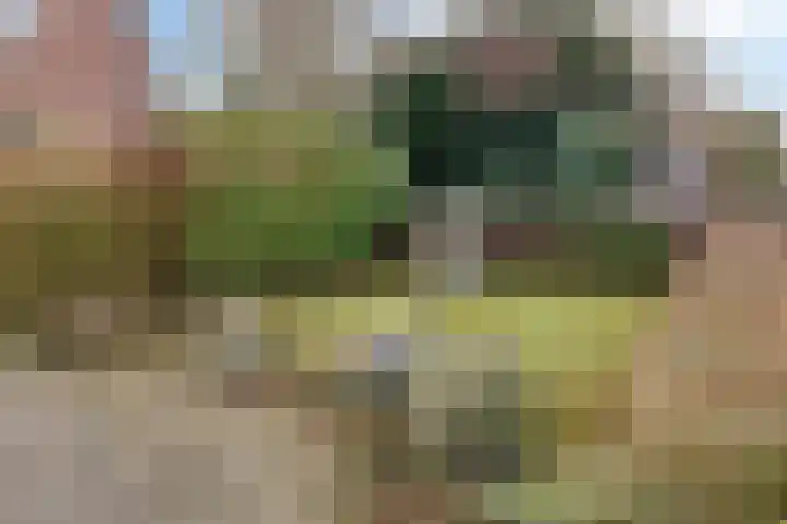 Lange Maat 40 Westervoort thumbnail 28