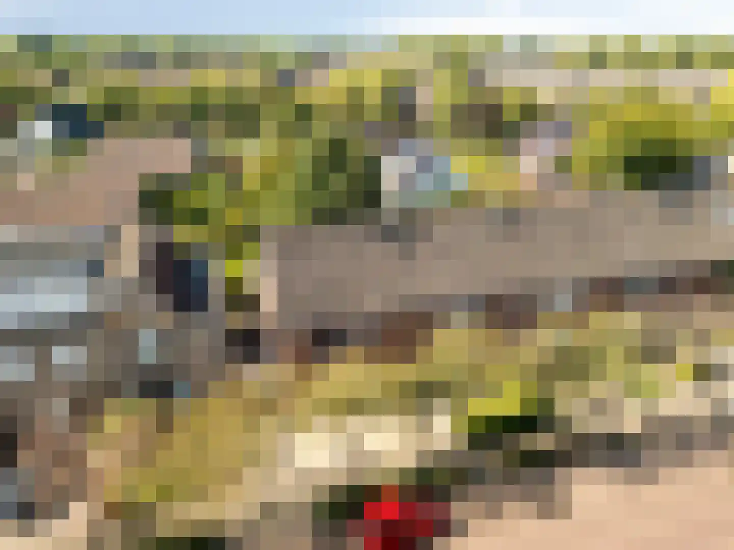 Lange Maat 72 Westervoort thumbnail 48