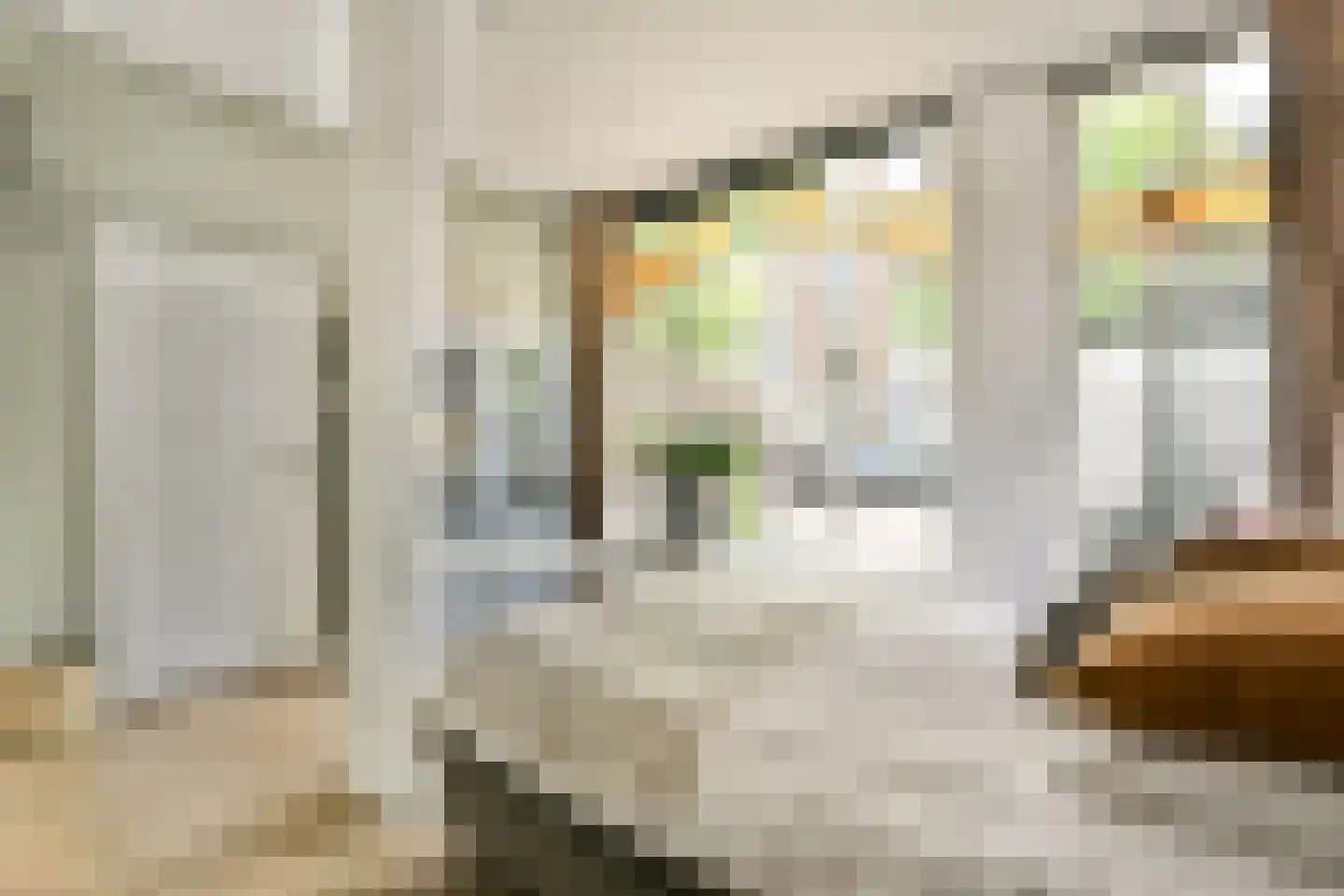 Lange Mare 53 Leiden thumbnail 8