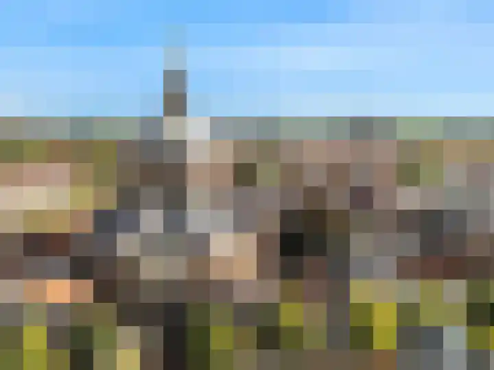 Lange Mare 56 Leiden thumbnail 4