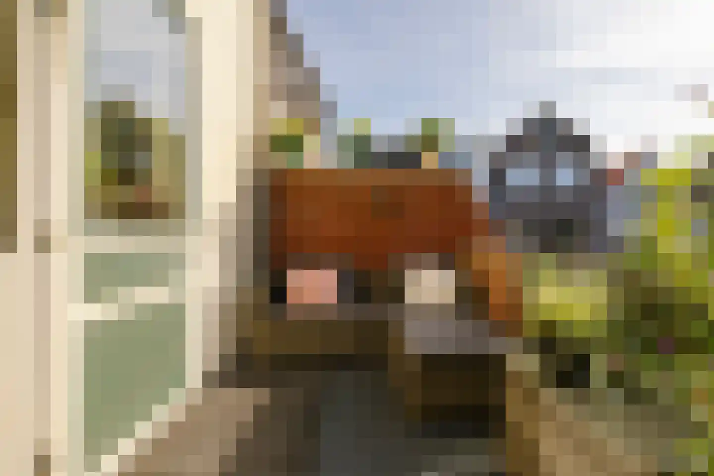 Lange Margarethastraat 11 Haarlem thumbnail 8