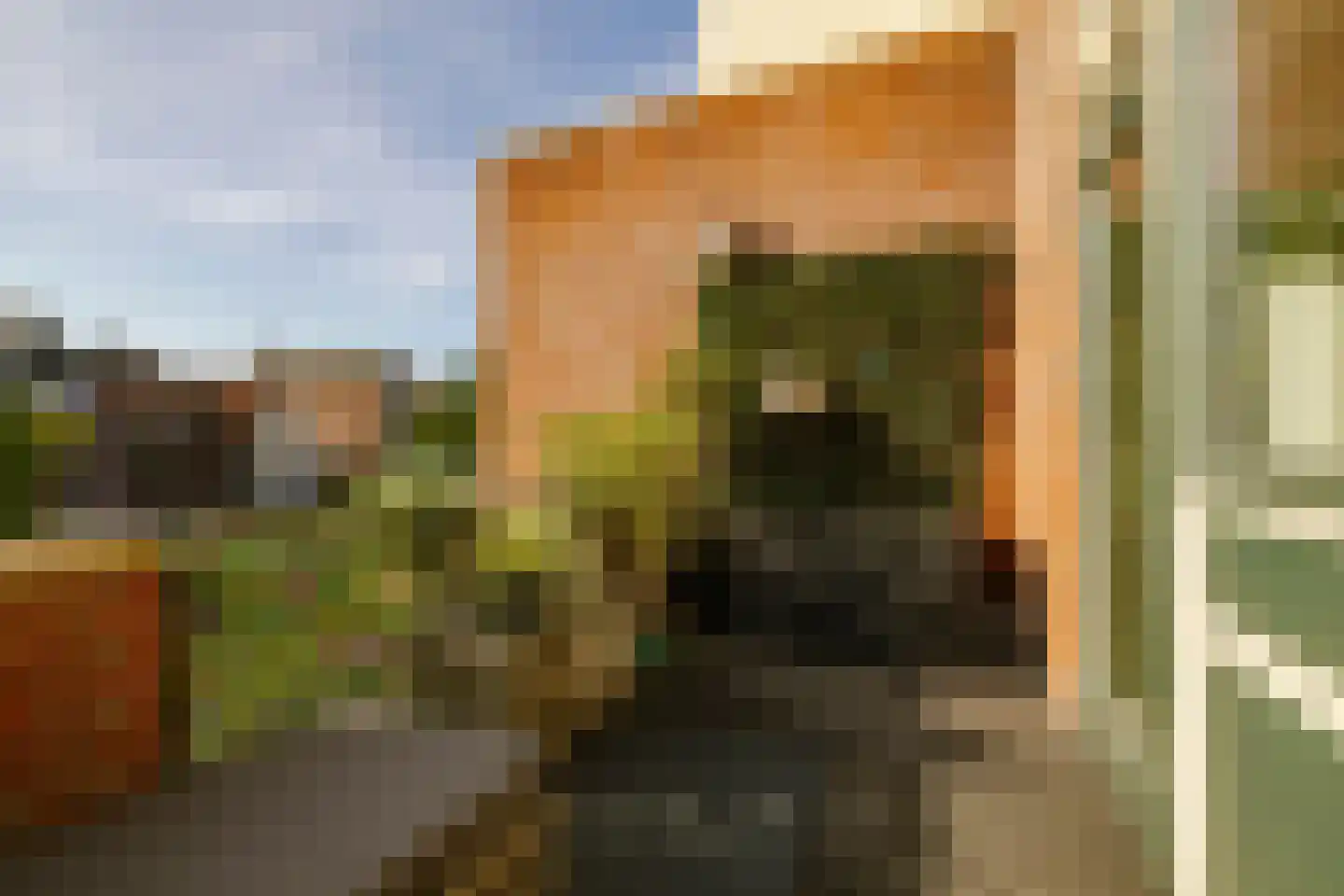 Lange Margarethastraat 11 Haarlem thumbnail 9