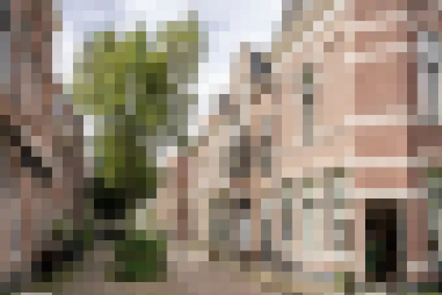 Lange Margarethastraat 4 RD Haarlem thumbnail 34