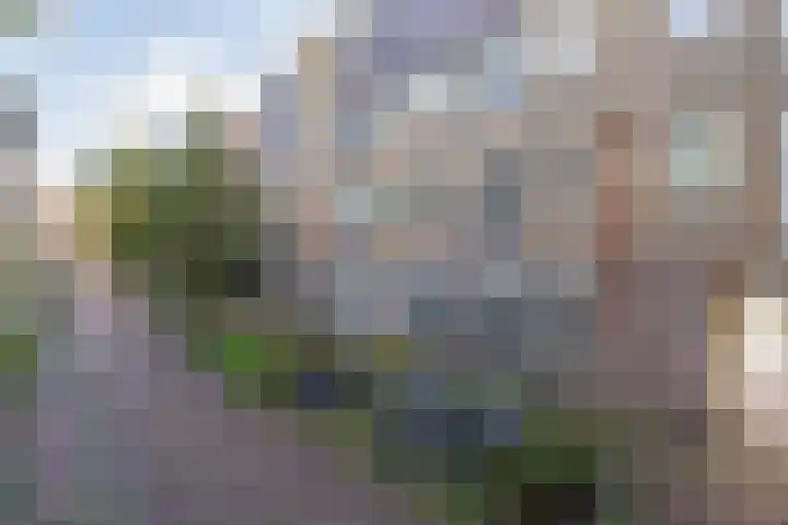 Lange Margarethastraat 43 Haarlem thumbnail 8