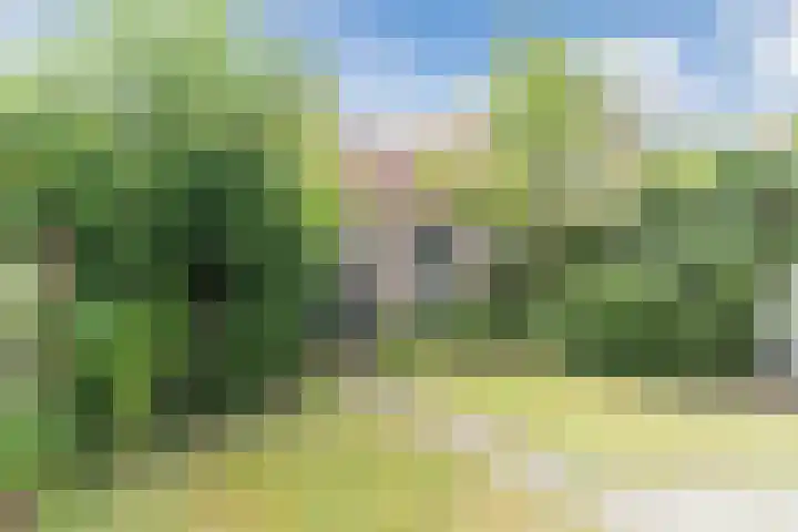 Lange Meent 2 Culemborg thumbnail 25