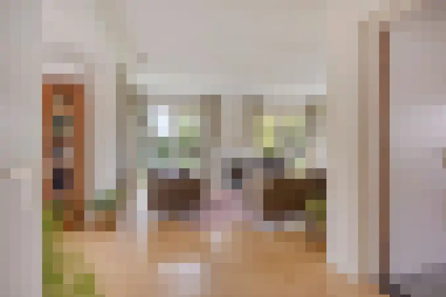 Lange Meentweg 22 Woerdense Verlaat thumbnail 11