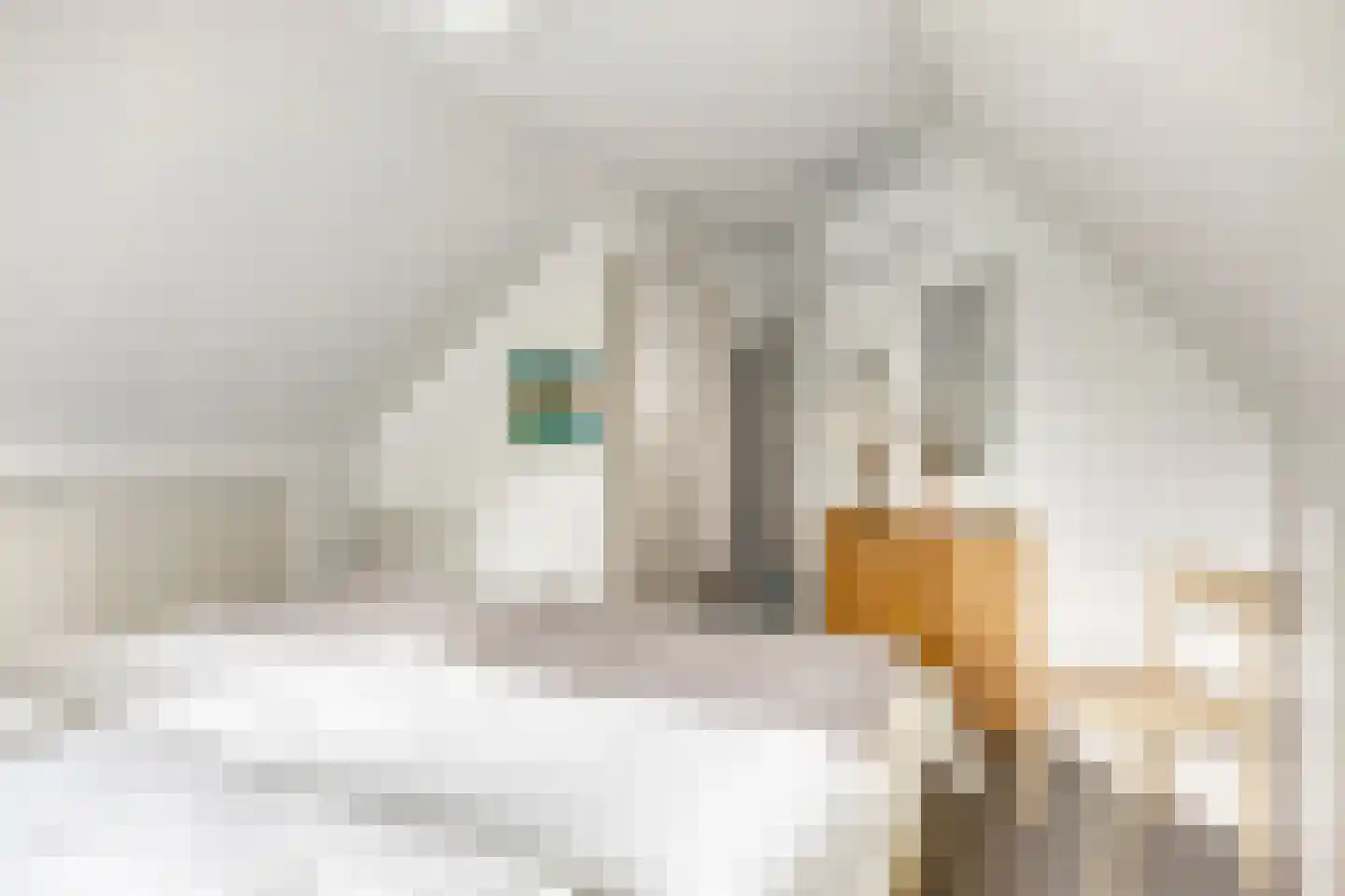 Lange Meentweg 22 Woerdense Verlaat thumbnail 28