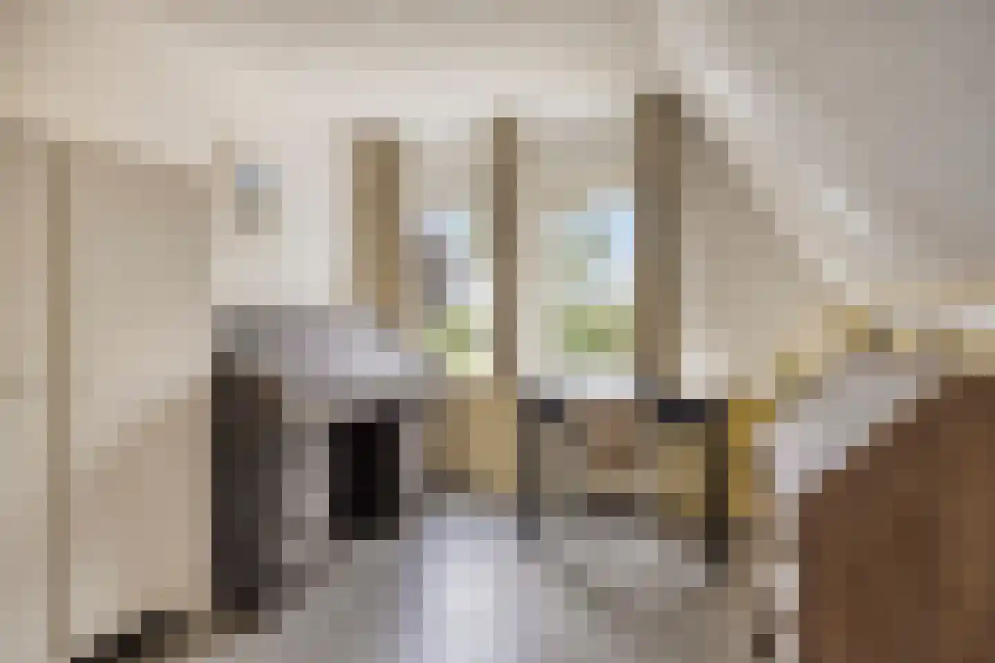Lange Meentweg 22 Woerdense Verlaat thumbnail 29