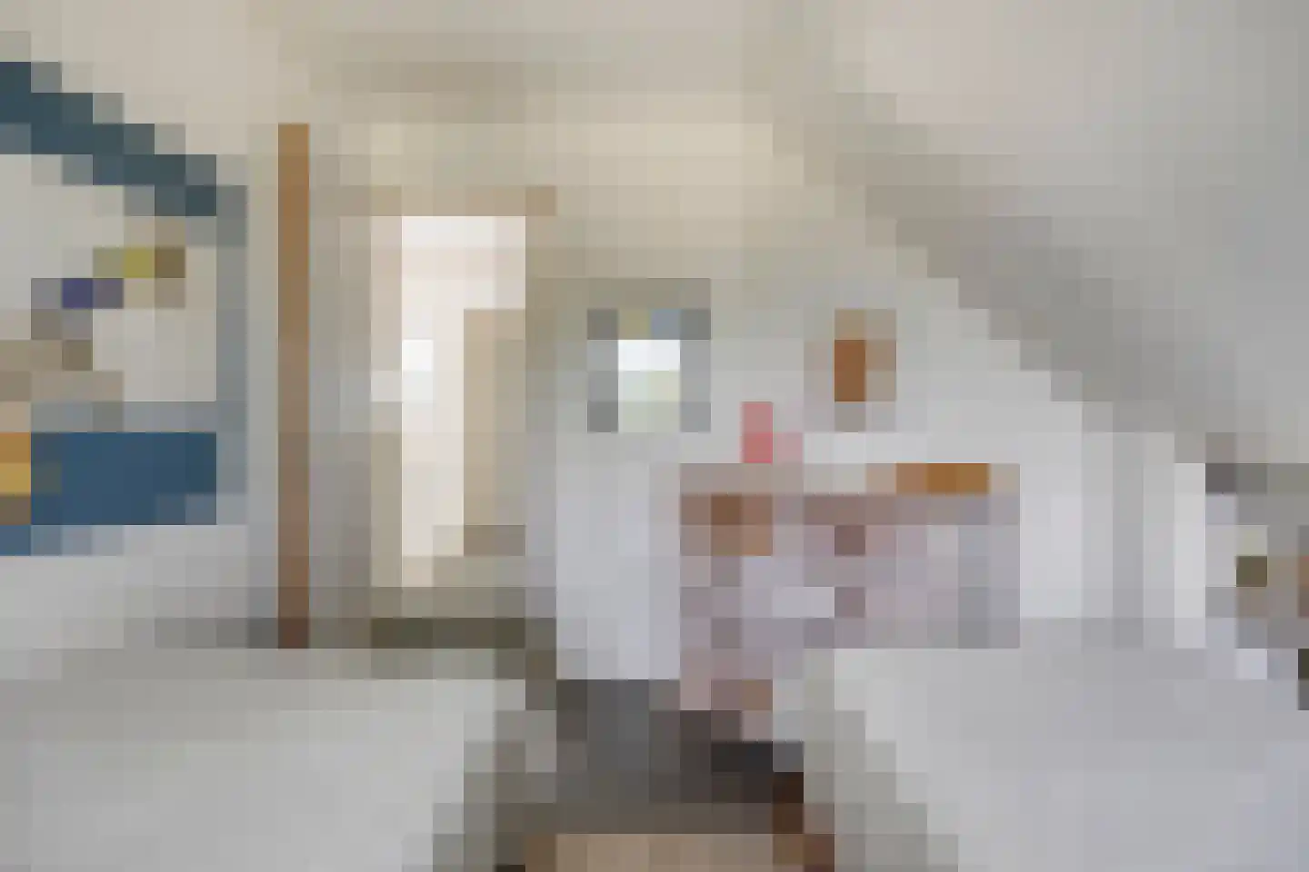 Lange Meentweg 22 Woerdense Verlaat thumbnail 32