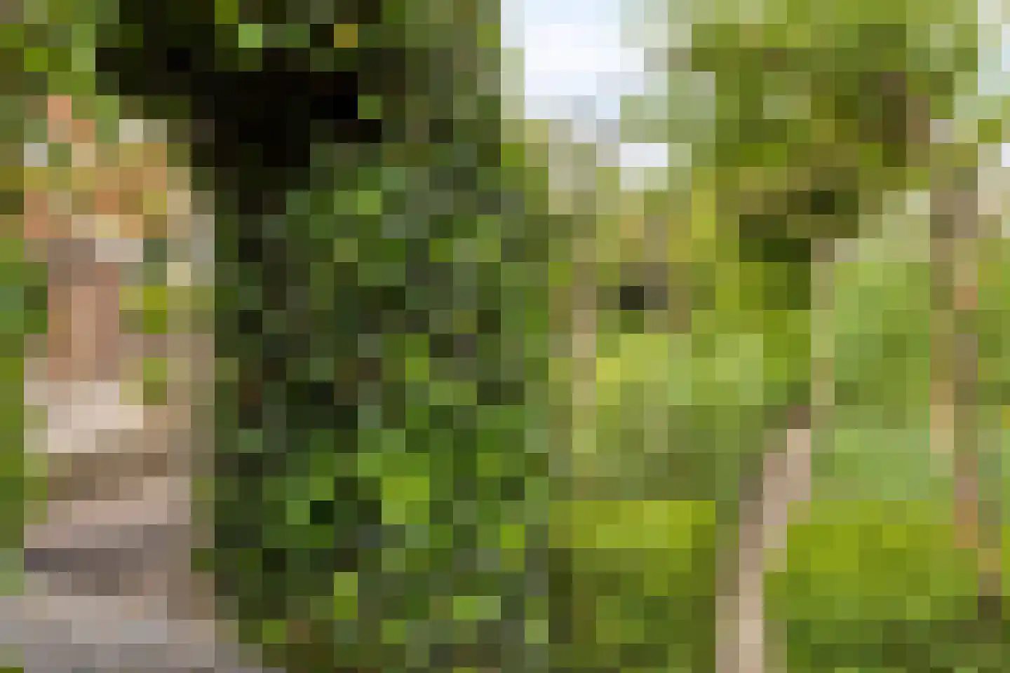 Lange Meentweg 22 Woerdense Verlaat thumbnail 38
