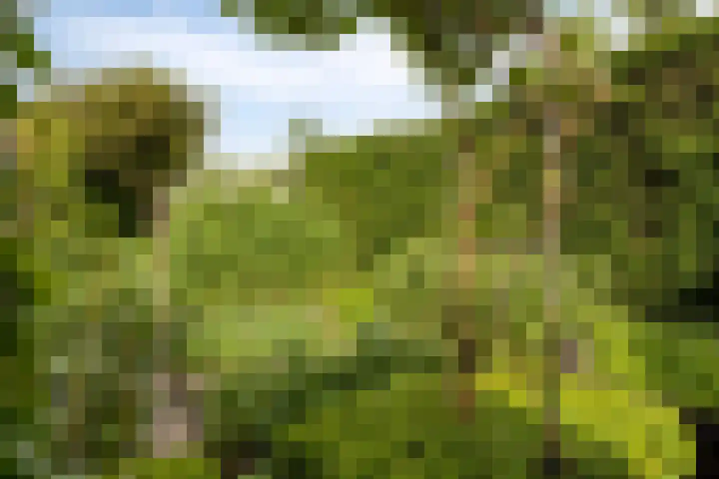 Lange Meentweg 22 Woerdense Verlaat thumbnail 39