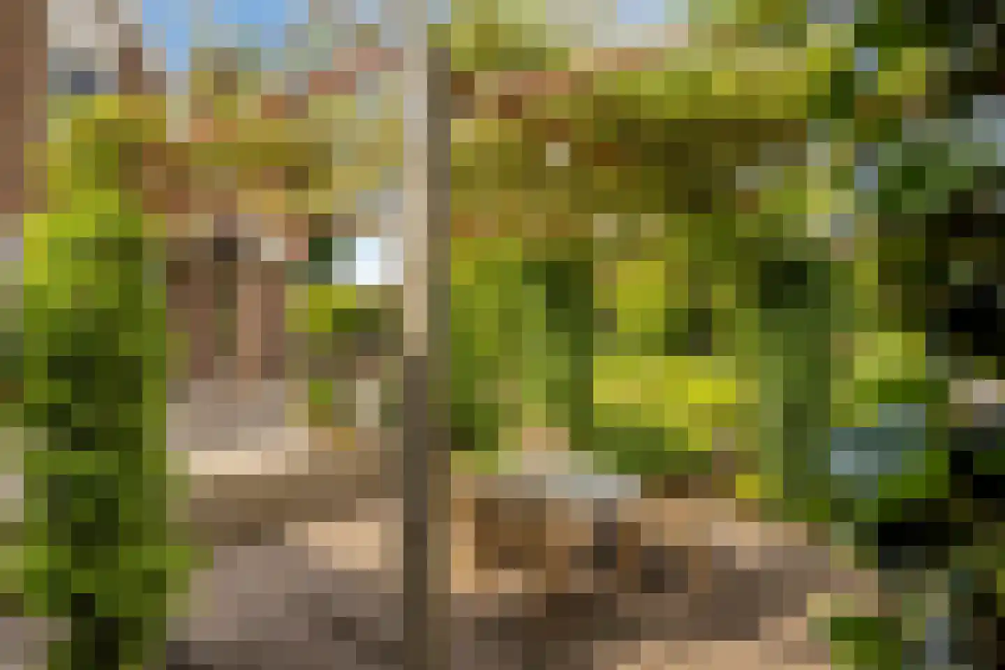 Lange Meentweg 22 Woerdense Verlaat thumbnail 40