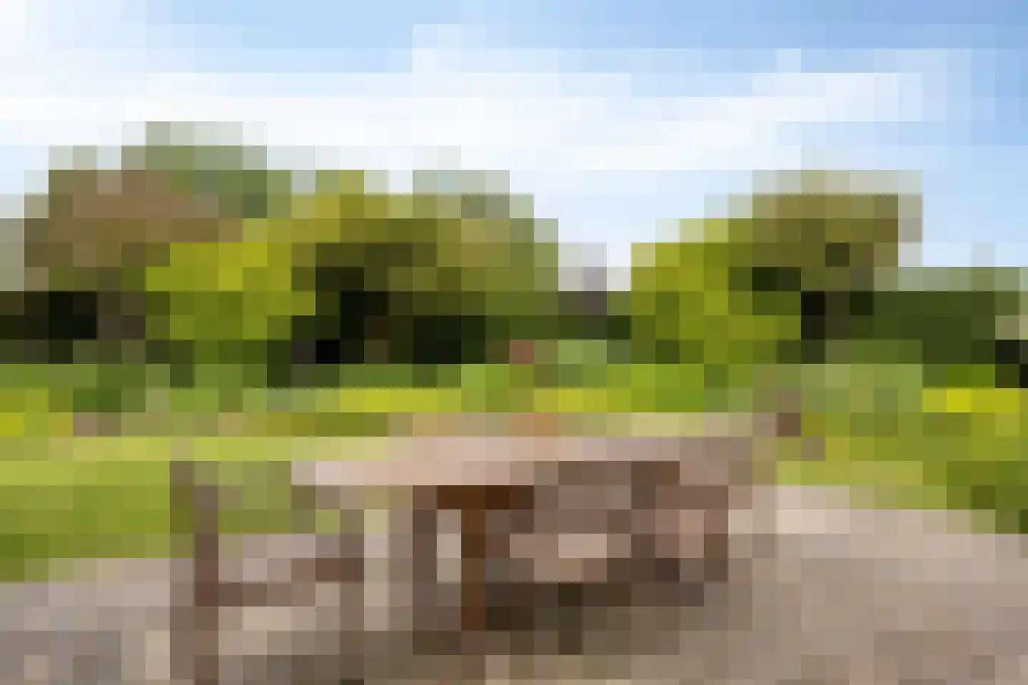 Lange Meentweg 22 Woerdense Verlaat thumbnail 43