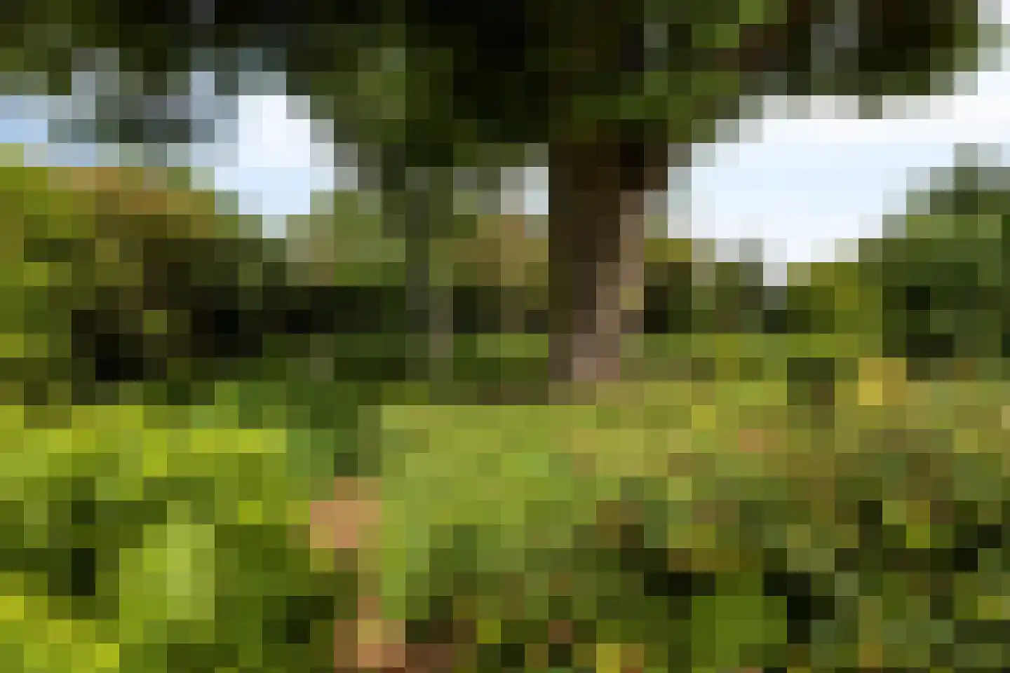 Lange Meentweg 22 Woerdense Verlaat thumbnail 45