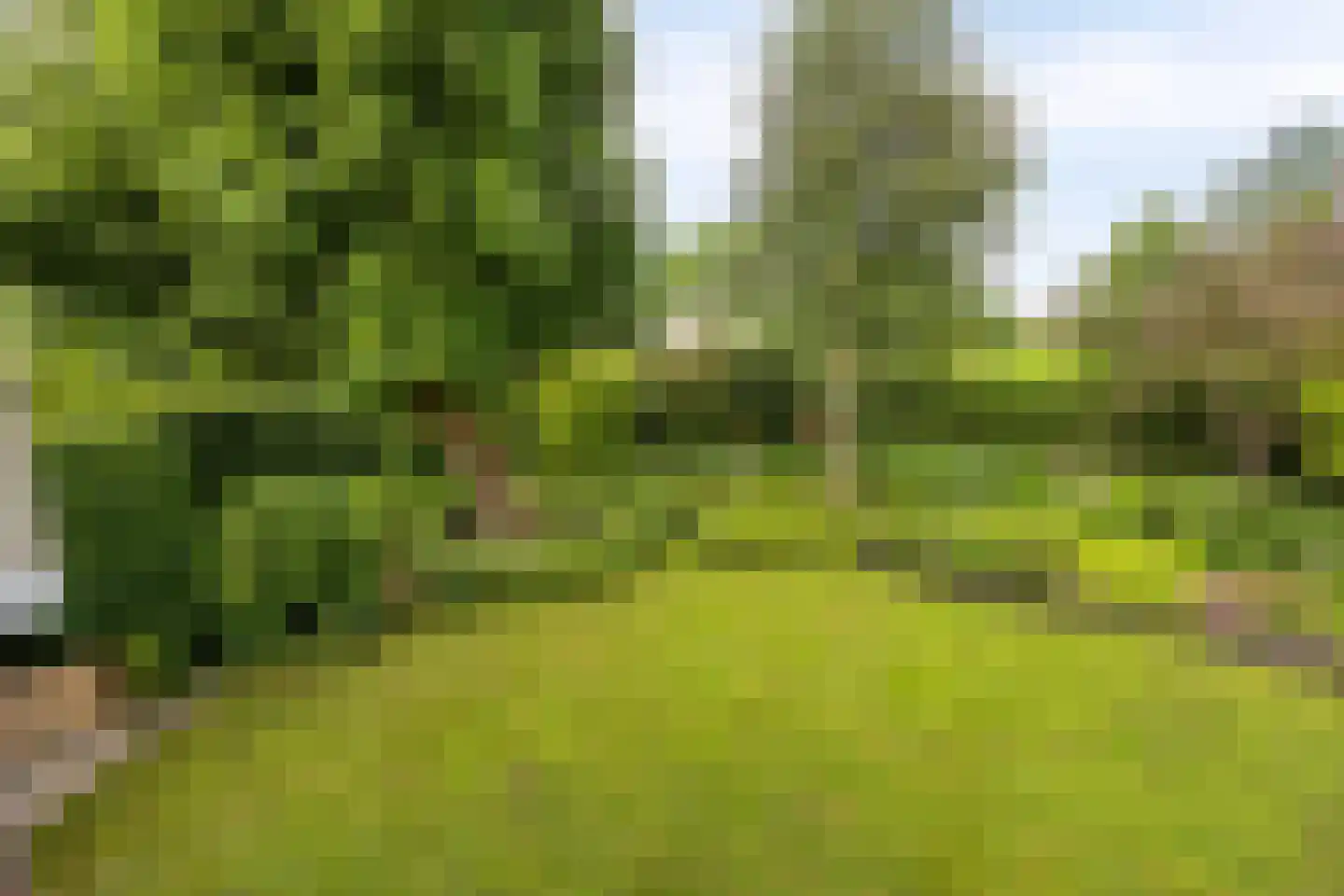 Lange Meentweg 22 Woerdense Verlaat thumbnail 50