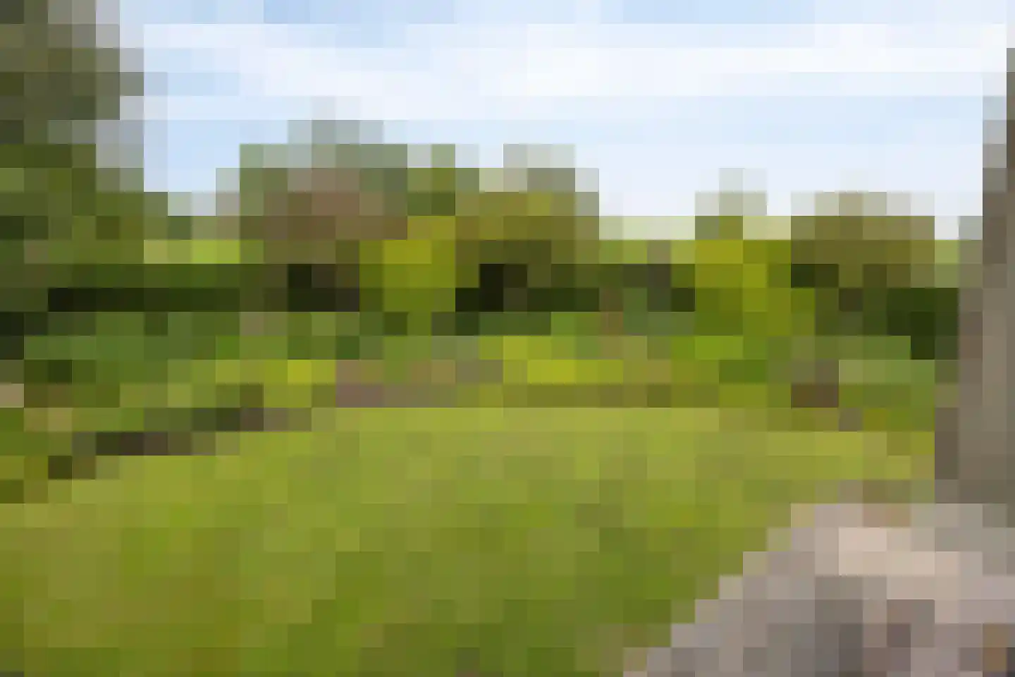 Lange Meentweg 22 Woerdense Verlaat thumbnail 51