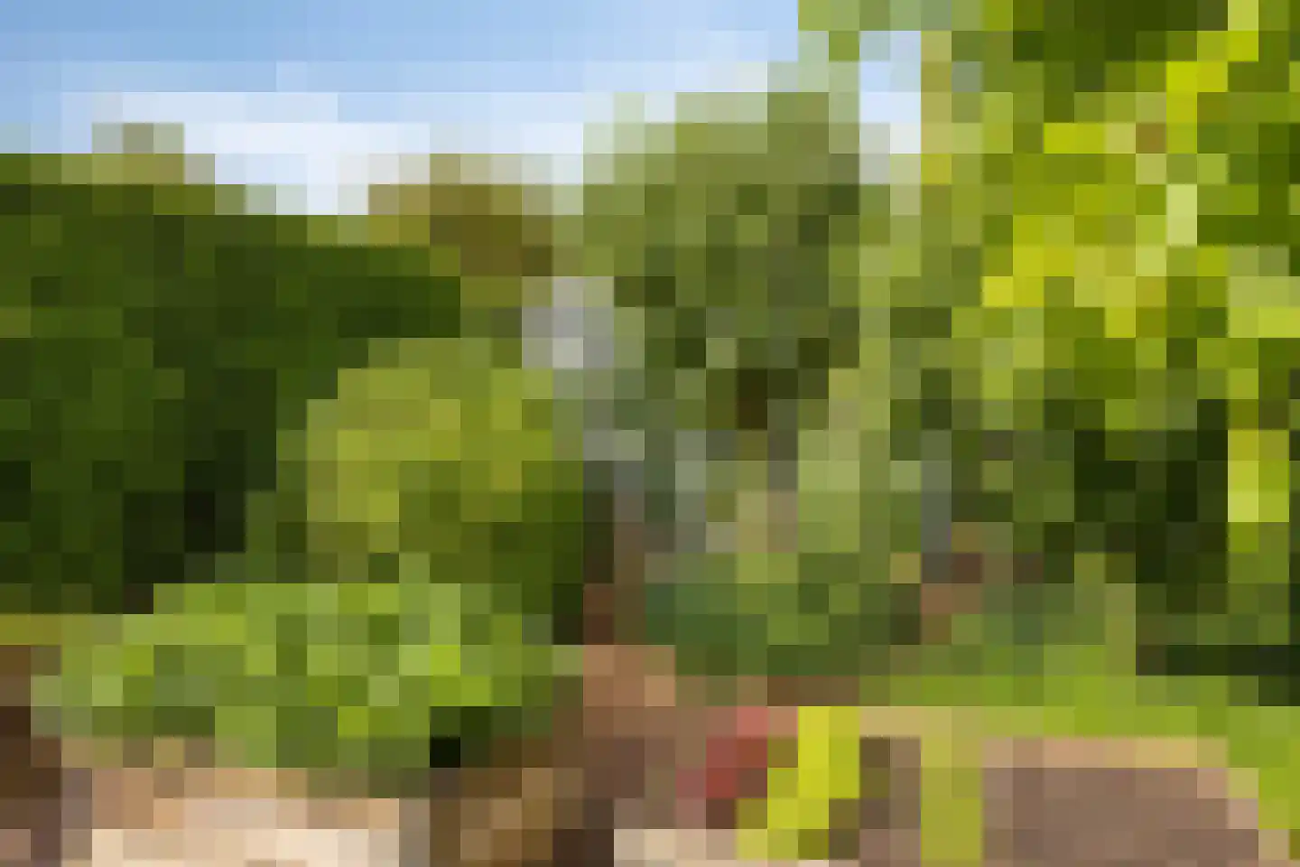 Lange Meentweg 22 Woerdense Verlaat thumbnail 54