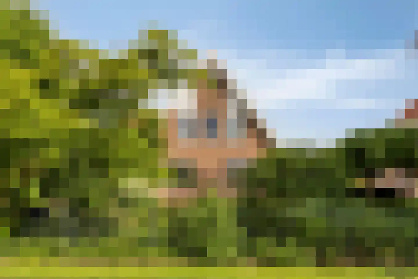 Lange Meentweg 22 Woerdense Verlaat thumbnail 55