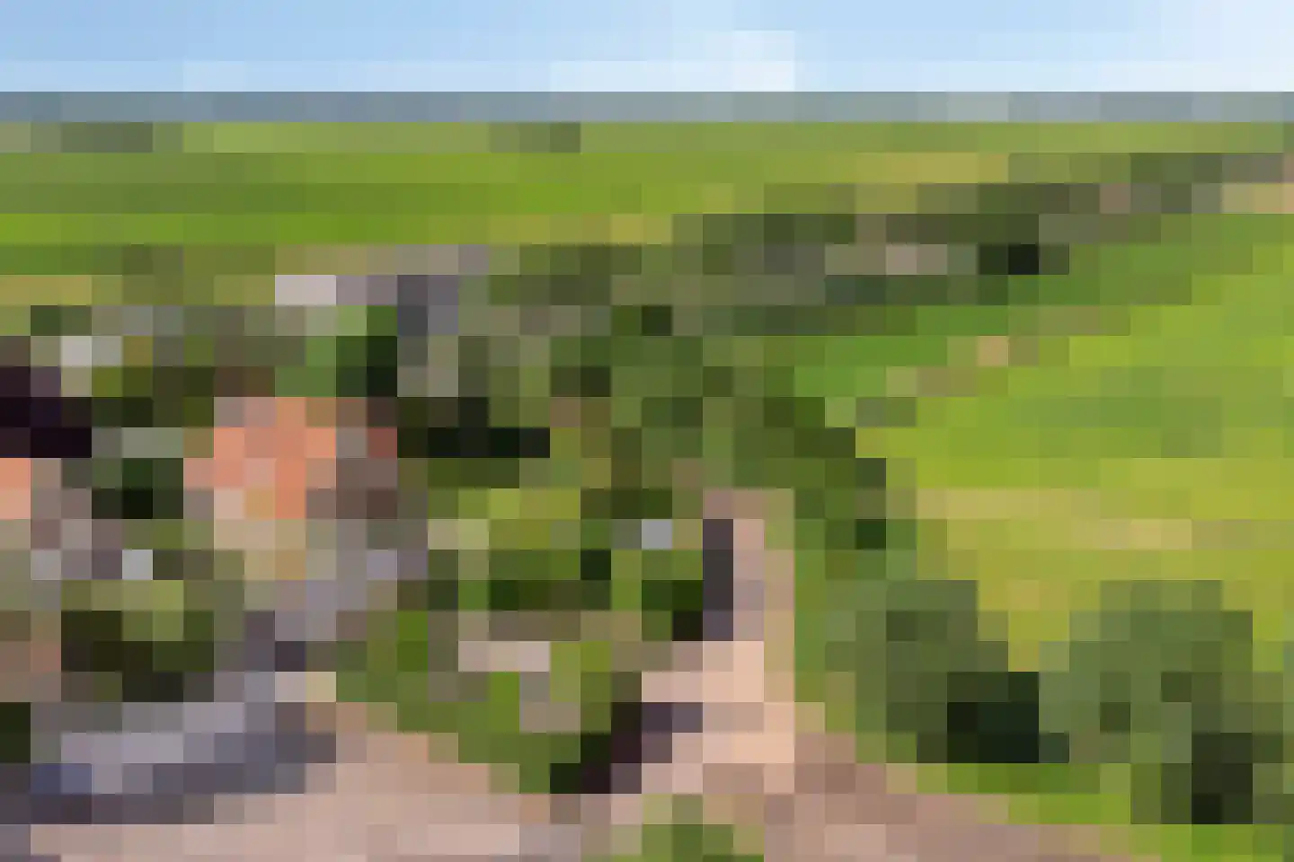 Lange Meentweg 22 Woerdense Verlaat thumbnail 58