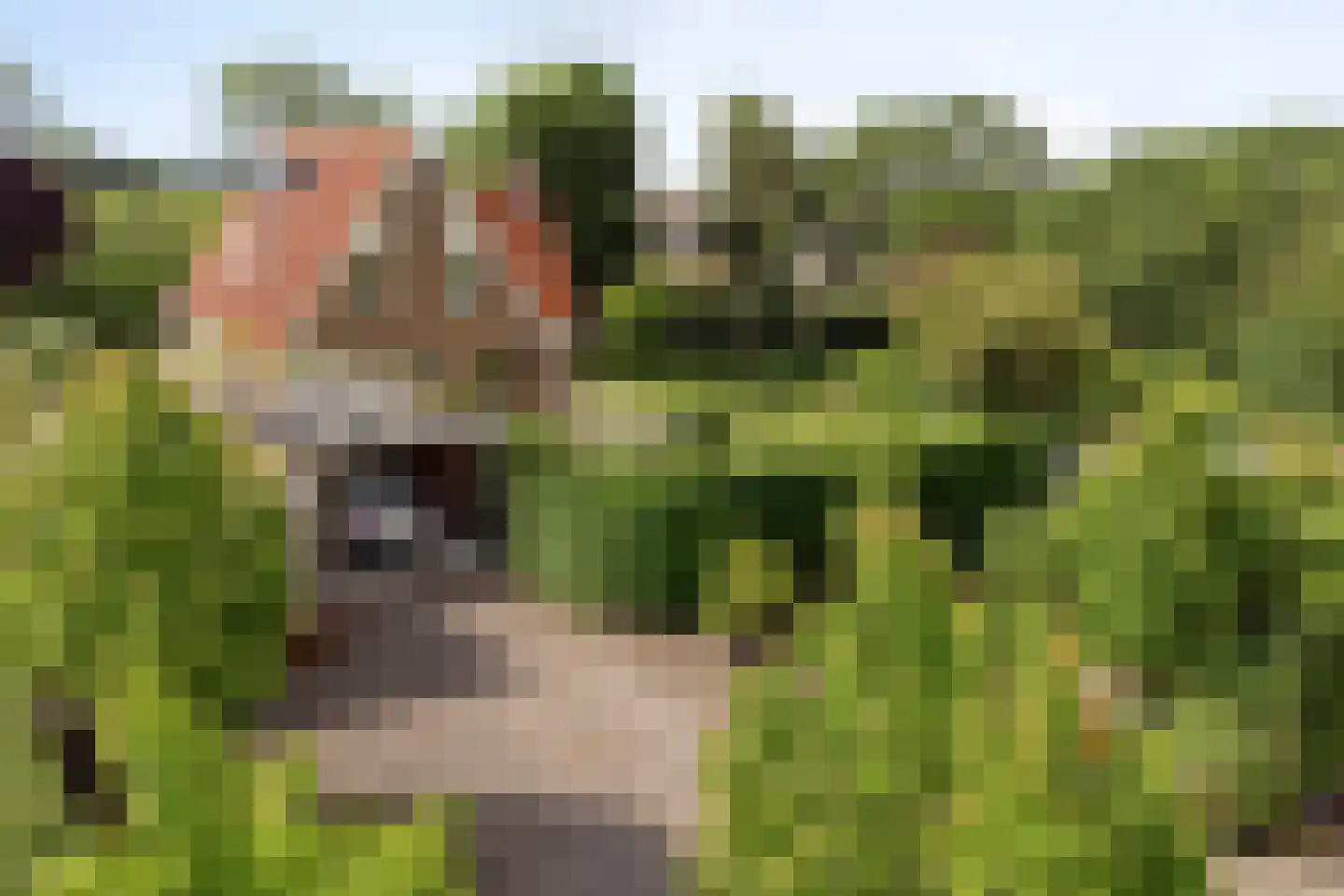 Lange Meentweg 22 Woerdense Verlaat thumbnail 59