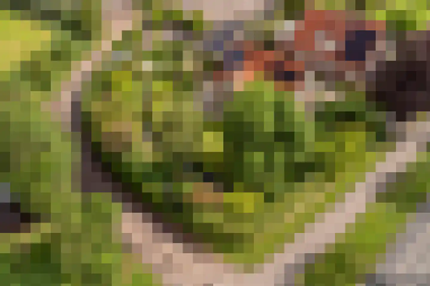 Lange Meentweg 22 Woerdense Verlaat thumbnail 61