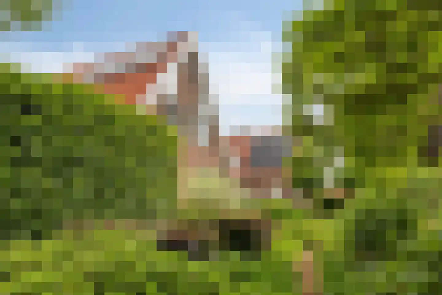 Lange Meentweg 22 Woerdense Verlaat thumbnail 63