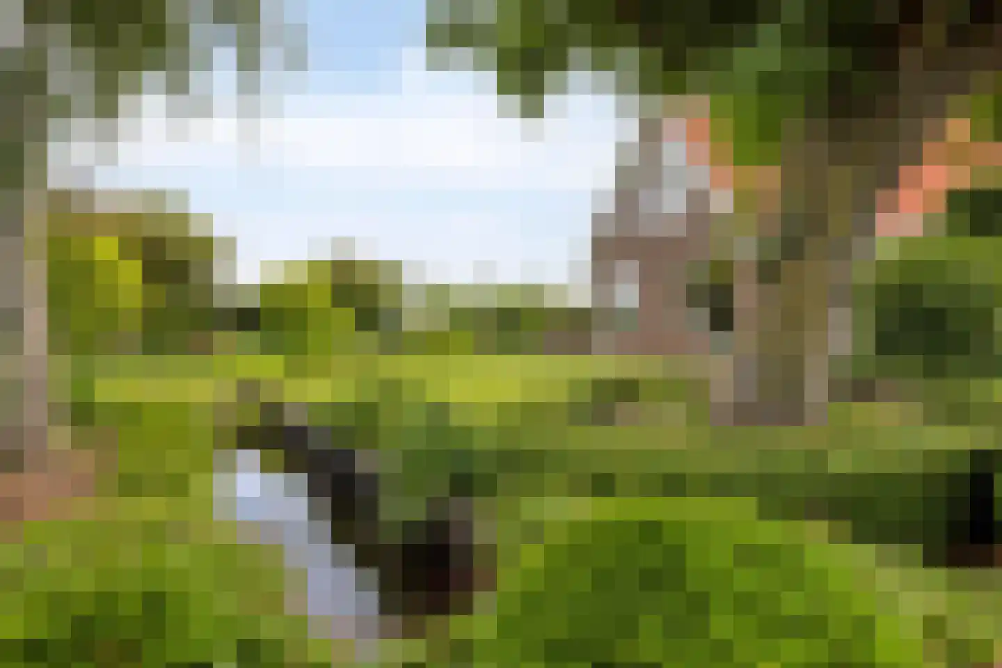 Lange Meentweg 22 Woerdense Verlaat thumbnail 64