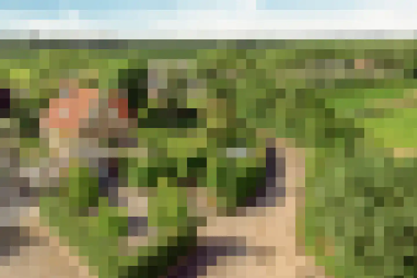 Lange Meentweg 22 Woerdense Verlaat thumbnail 68