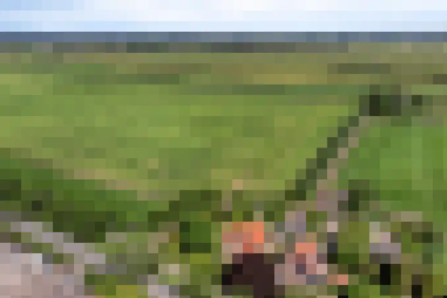 Lange Meentweg 22 Woerdense Verlaat thumbnail 70