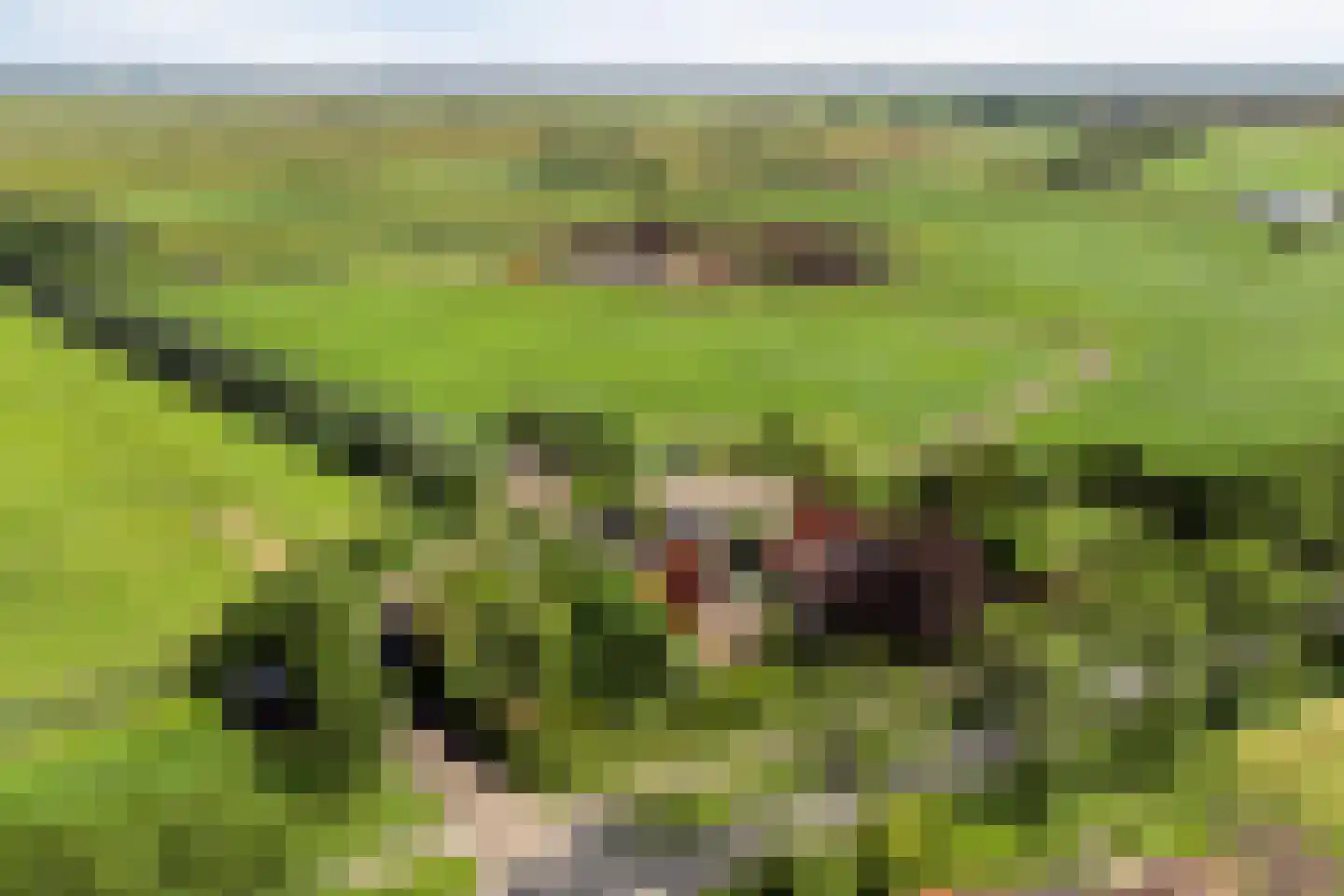 Lange Meentweg 22 Woerdense Verlaat thumbnail 71