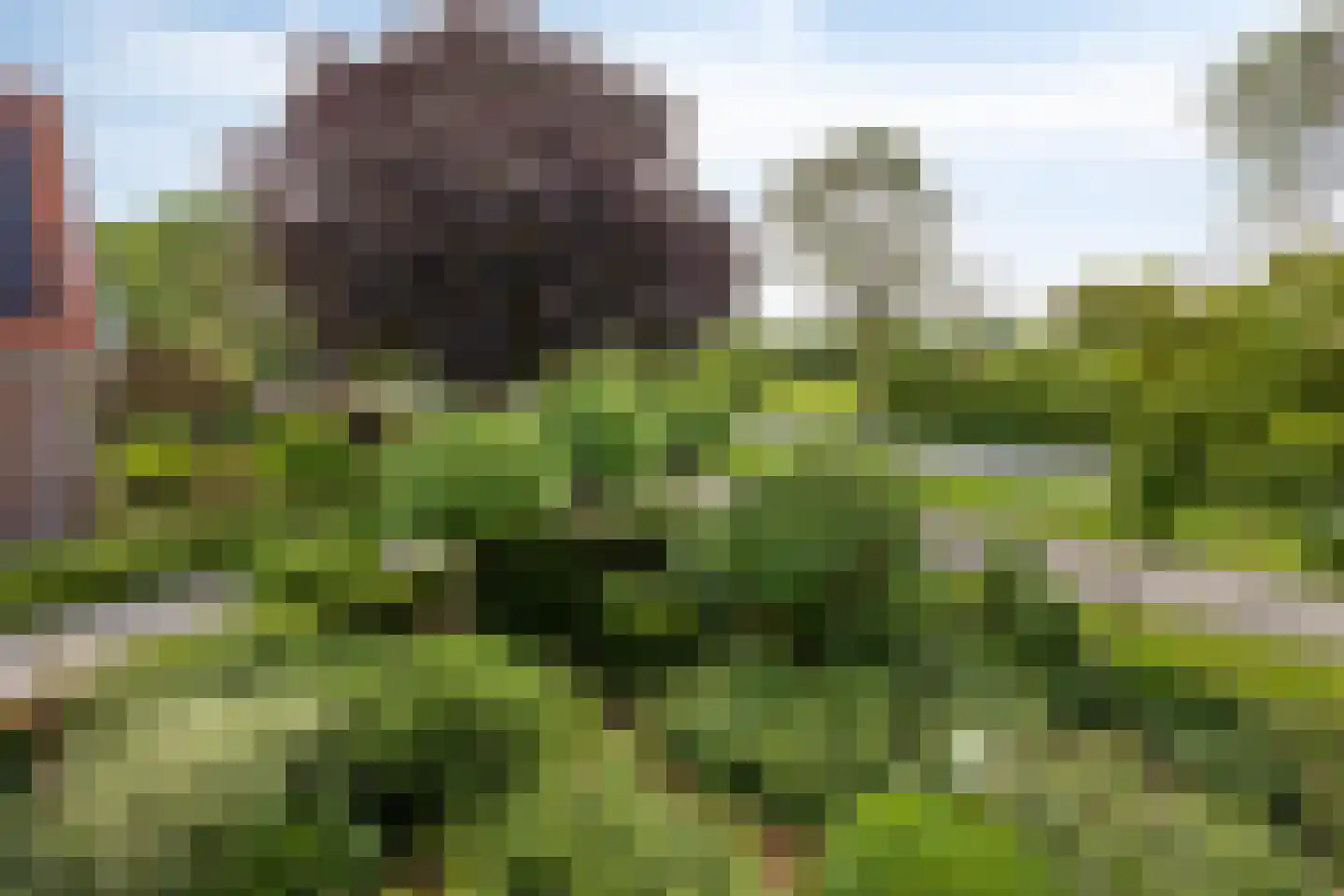 Lange Meentweg 22 Woerdense Verlaat thumbnail 73